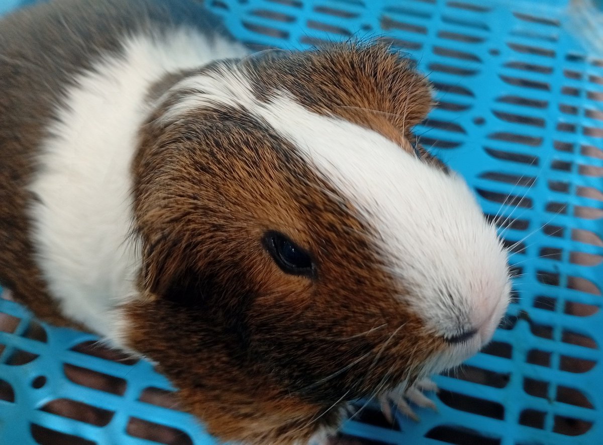 Cassy ≧ᴗ≦ tweet media