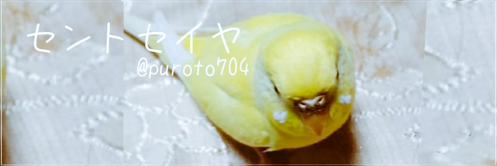 セイントセイヤ tweet media