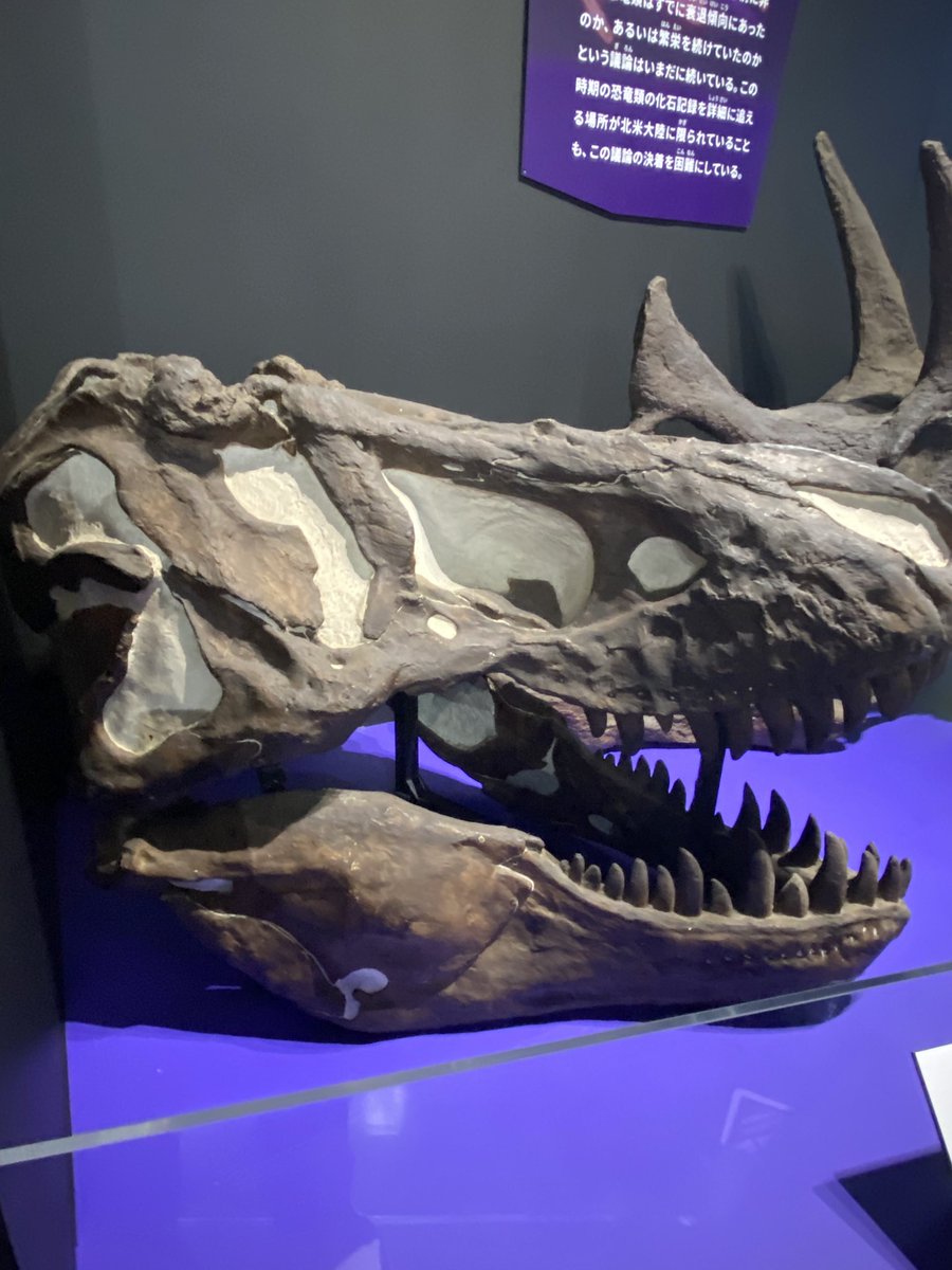 まか日記 tweet media