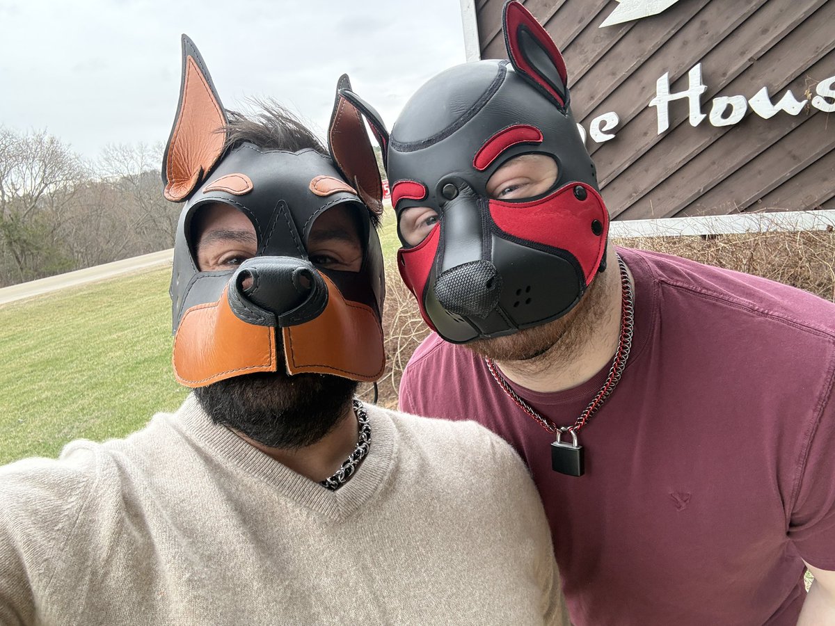 Pup Hermes 🐶 🖤🧡🪽 tweet media