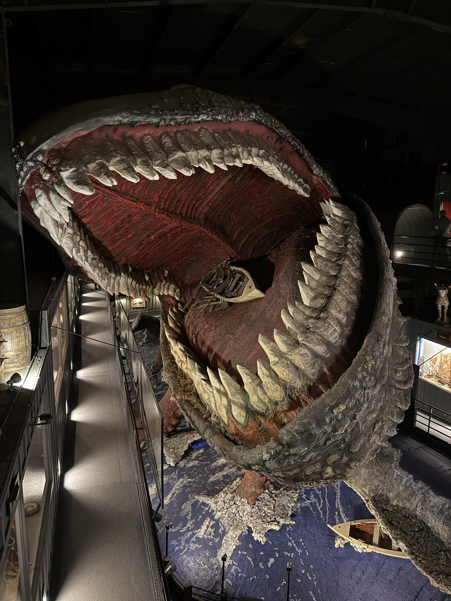 Pup Hermes 🐶 🖤🧡🪽 tweet media