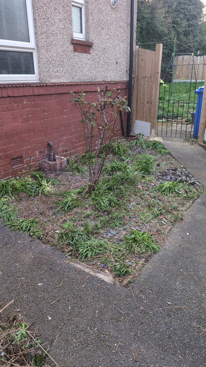 Mel🏊♥️ tweet media