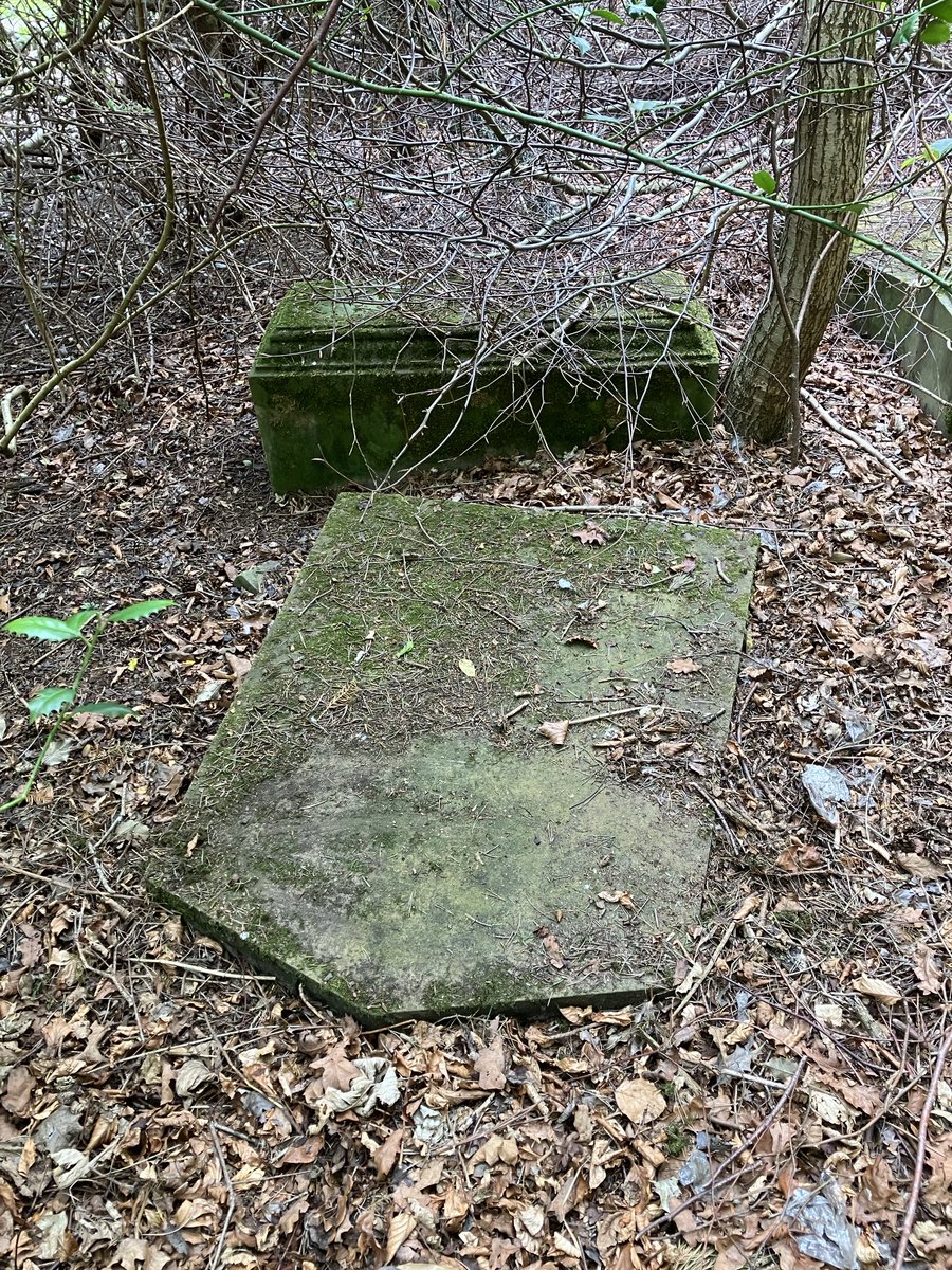 Steven Robb tweet media