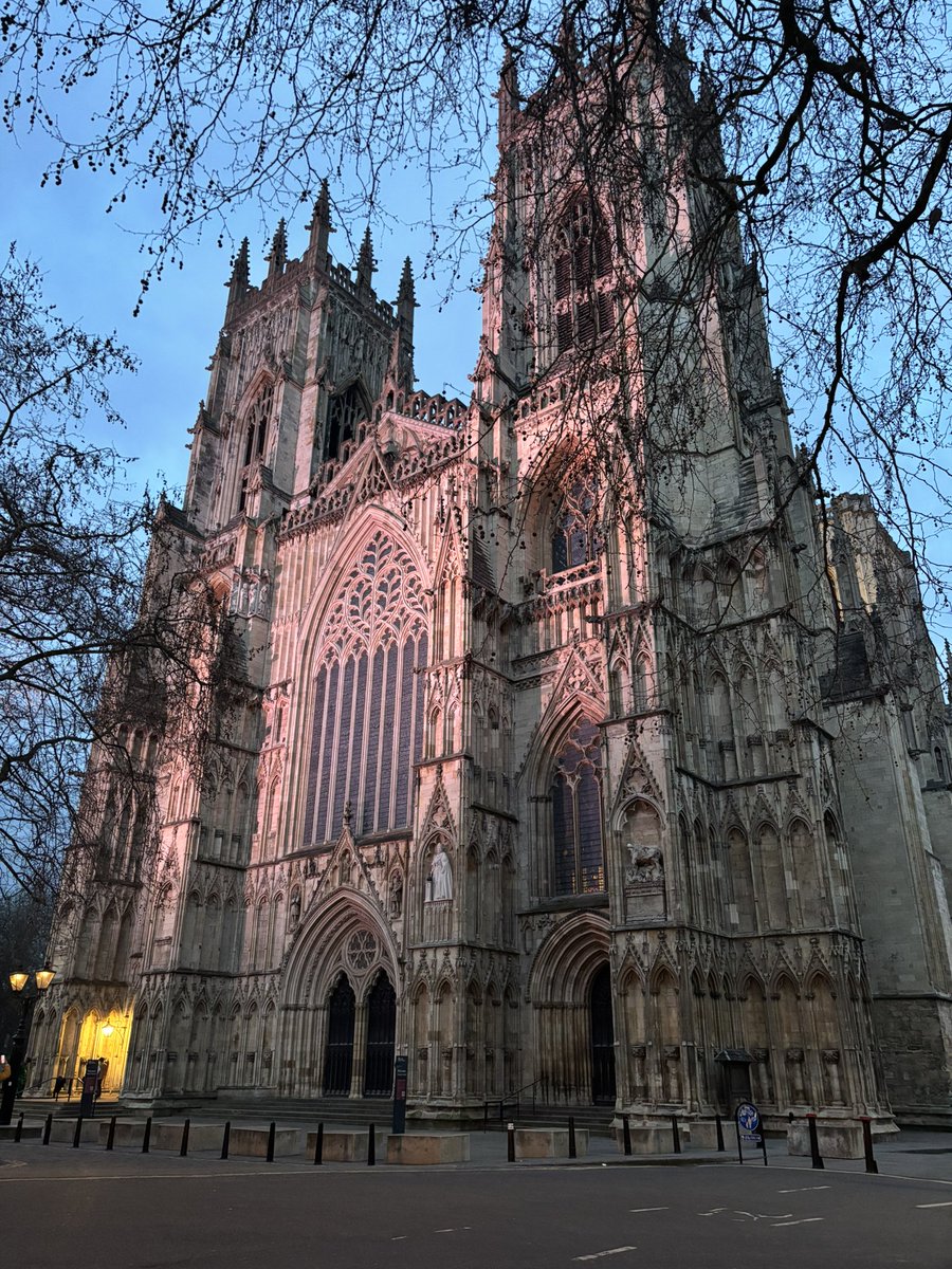 Adventures of Cooper & Orla | Mum & Dad | 8 Cats tweet media