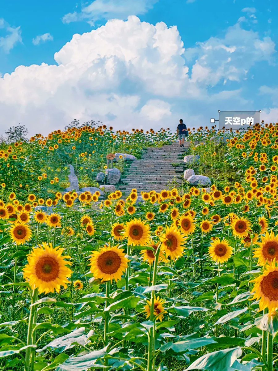 BeteBiaggi tweet media