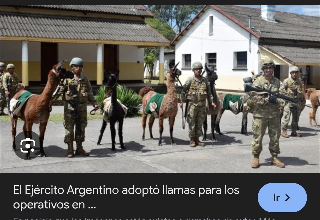 democracia tweet media