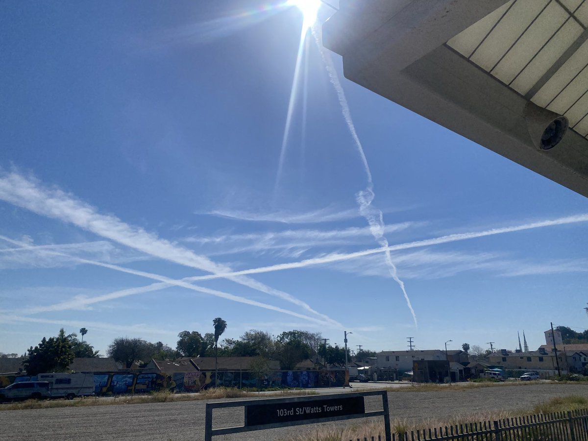 Walter Mitchell tweet media