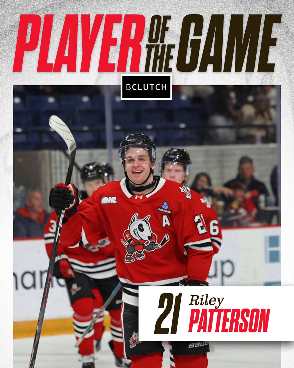 x-Niagara IceDogs tweet media