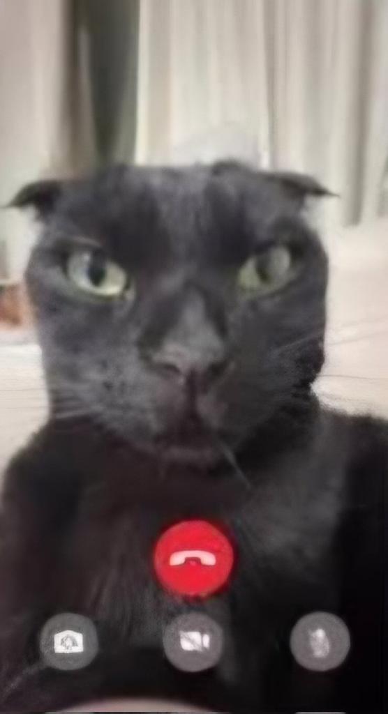 𝐁𝐞𝐧𝐲🤍 tweet media