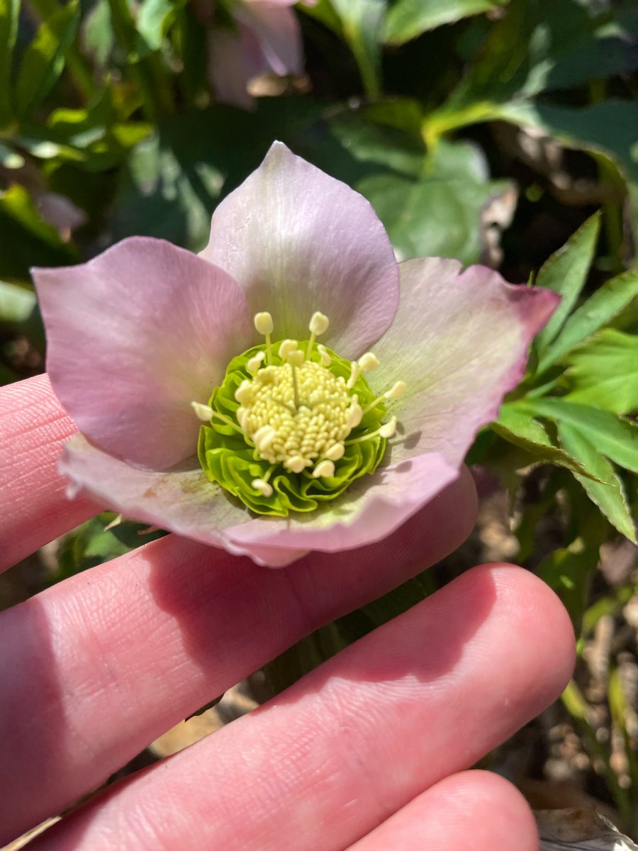 Zack 𓂀 tweet media