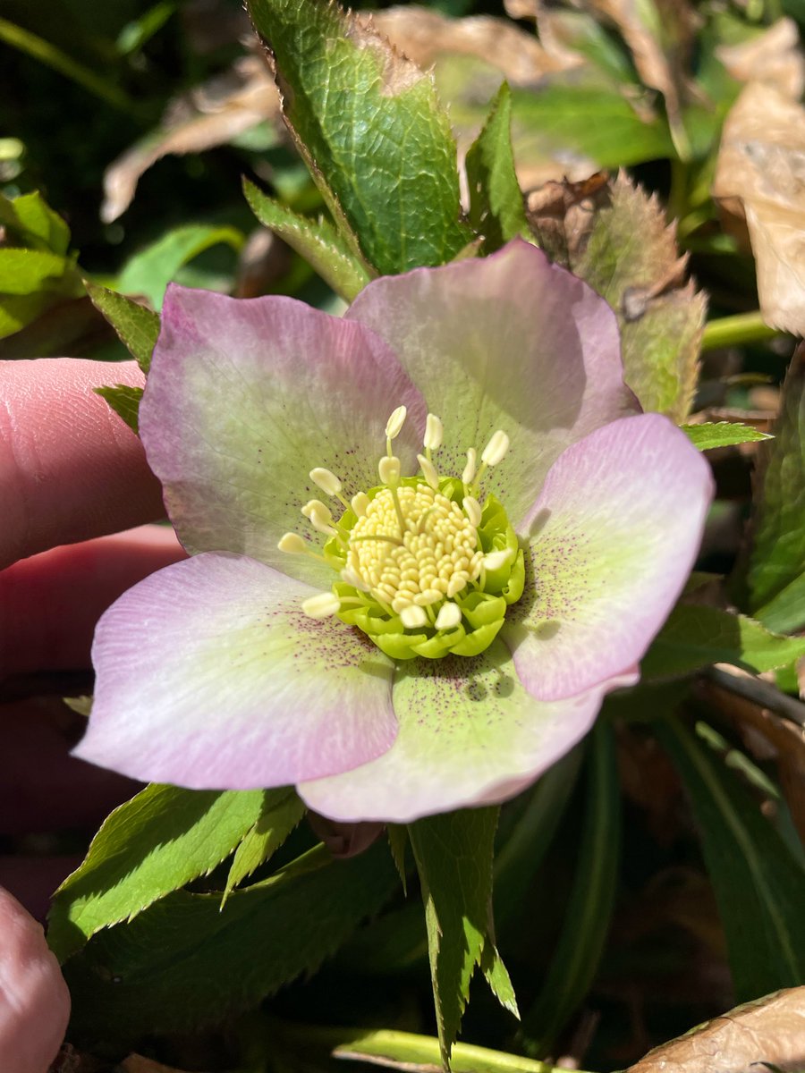 Zack 𓂀 tweet media