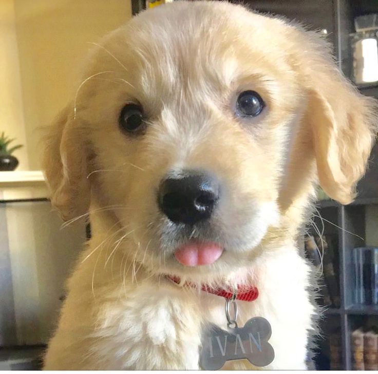 jade is seeing djo again tweet media