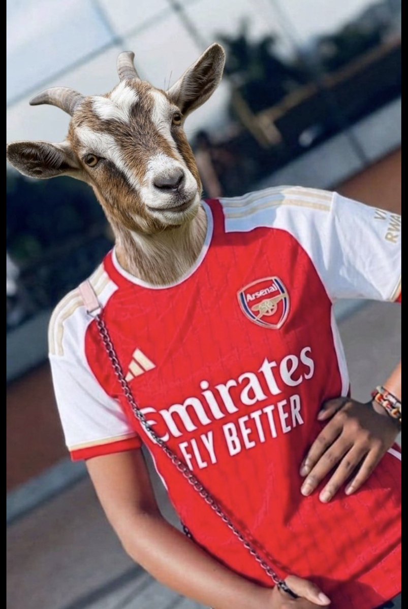 Cipher🔥🌟 tweet media