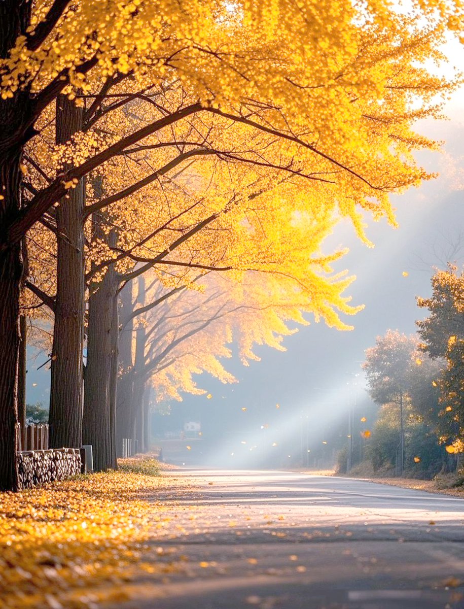 Heather Gibson tweet media