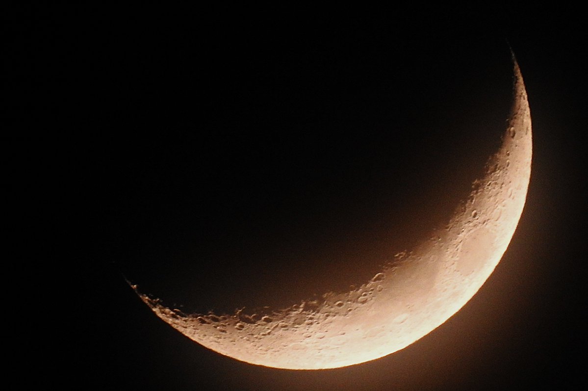 Nigey`s Wild Walks tweet media