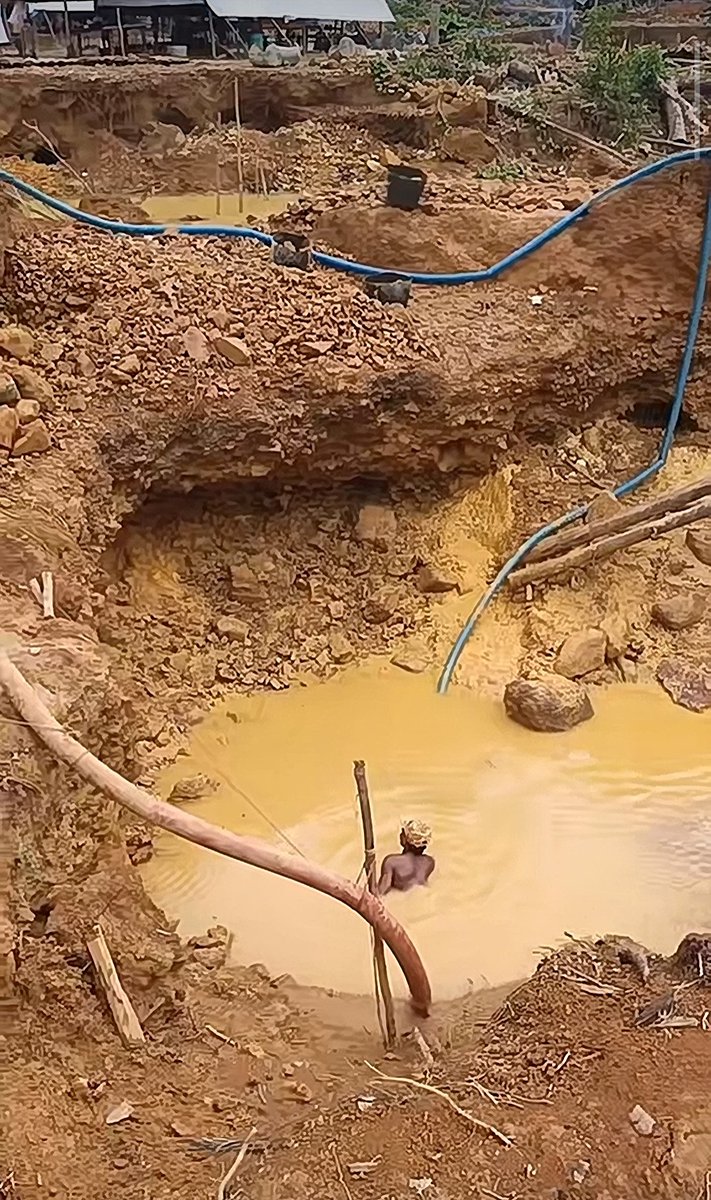 Fritz_A_Sanchez's tweet photo. #Atencion #Venezuela
La vorágine extractivista ilegal sigue en aumento, mientras nuestros bosques van desapareciendo...
Avanza el extractivismo aurífero ilegal en Las Claritas de Uroy #ElDorado
#SurDelOrinoco
#VenezuelaFragmentada
#Deforestacion #Contaminacion https://t.co/GpoxZAe7h7