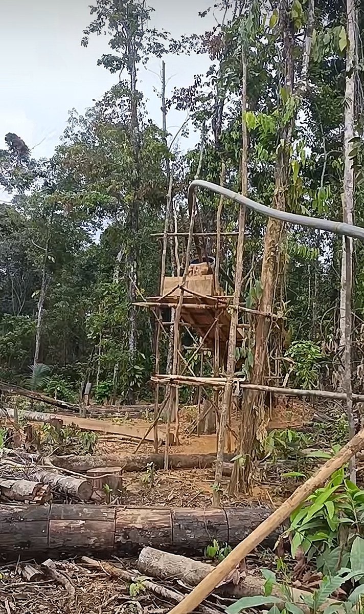 #Atencion #Venezuela 

La vorágine extractivista ilegal sigue en aumento, mientras nuestros bosques van desapareciendo...

Avanza el extractivismo aurífero ilegal en Las Claritas de Uroy #ElDorado  

#SurDelOrinoco 
#VenezuelaFragmentada 
#Deforestacion #Contaminacion