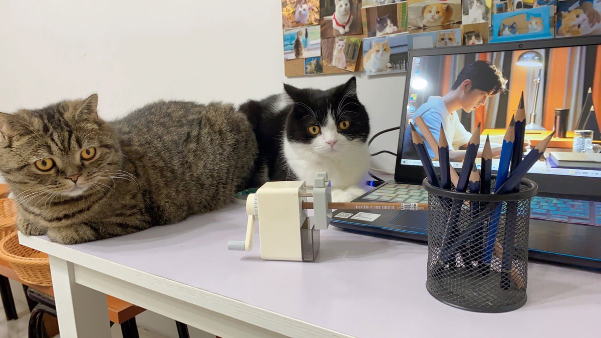 saradiary2 tweet media