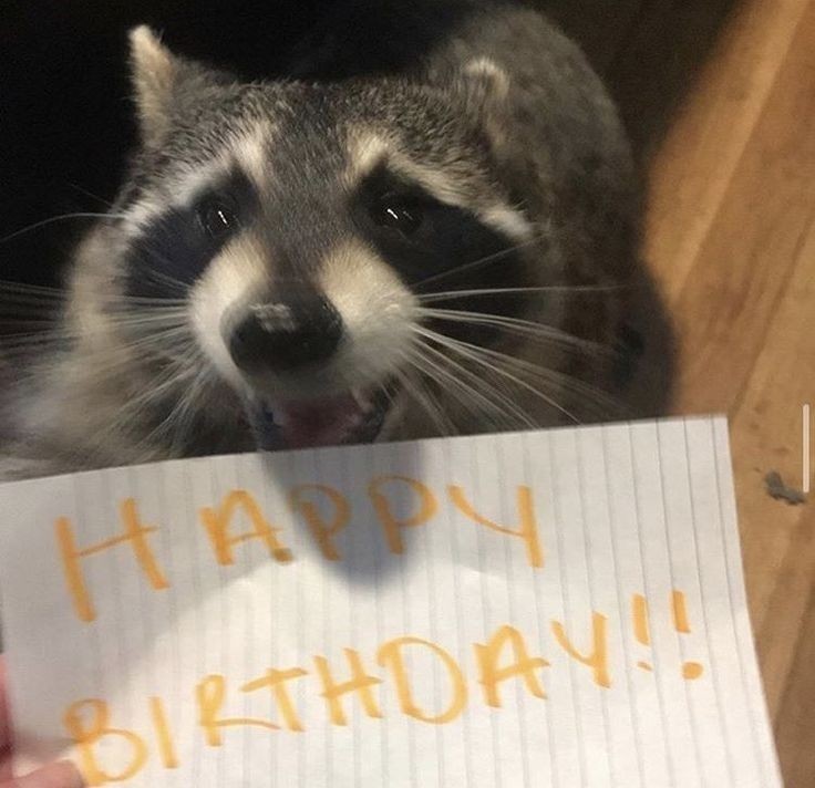 aiden (jason's bf) 🇨🇴|🏳️⚧️| BUZON DE CUM tweet media