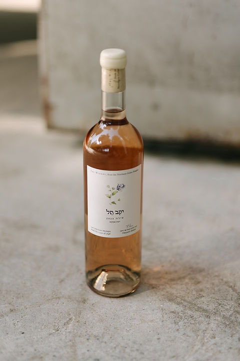 Menachem Shechter tweet media