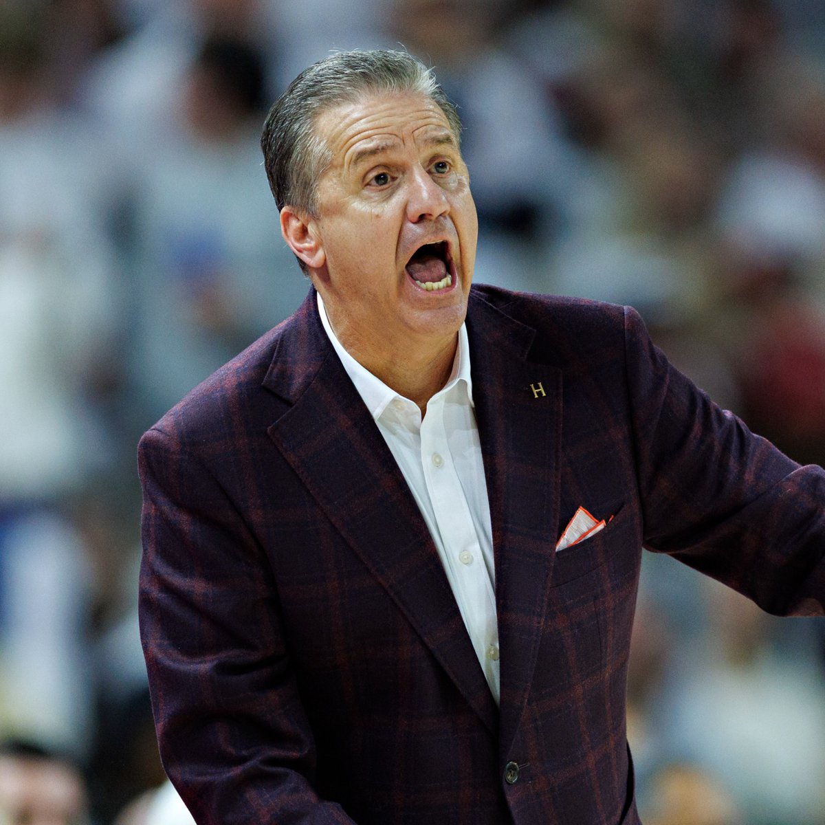 BetMGM 🦁 tweet media