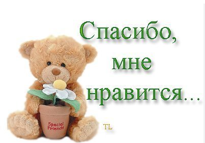 BlackFuckinMetalKrieg tweet media