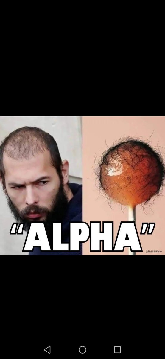 borderbertie1 tweet media