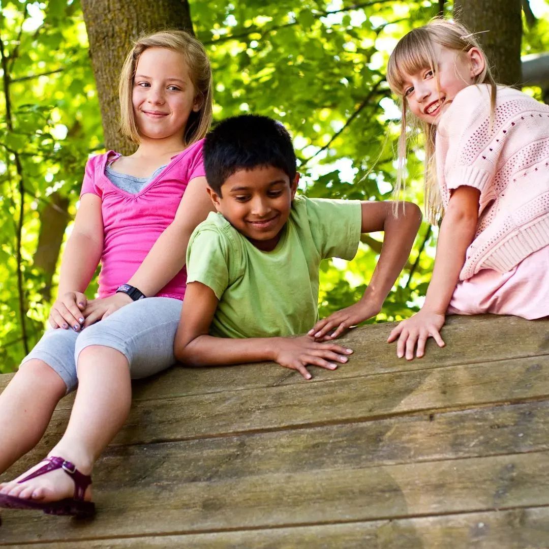 SimplyFun tweet media