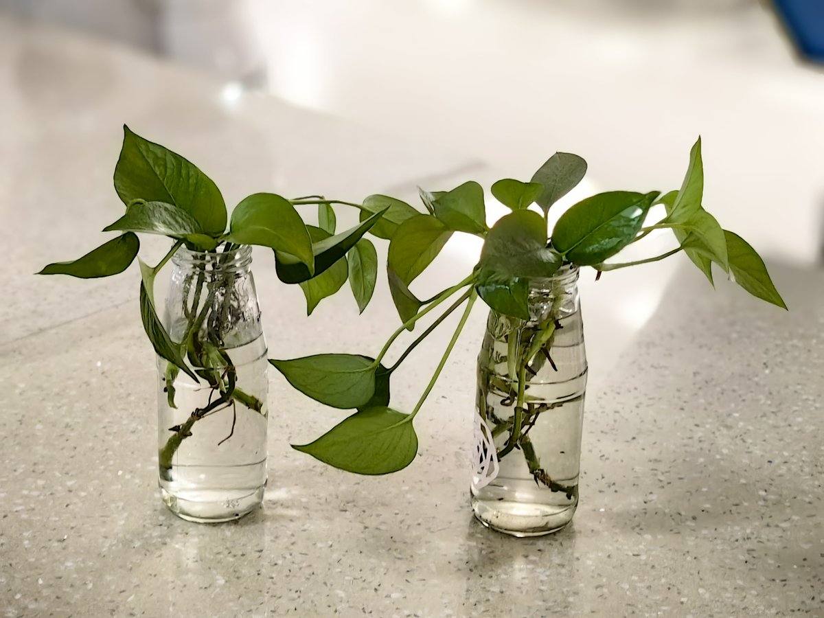 BERRADA Kamal tweet media