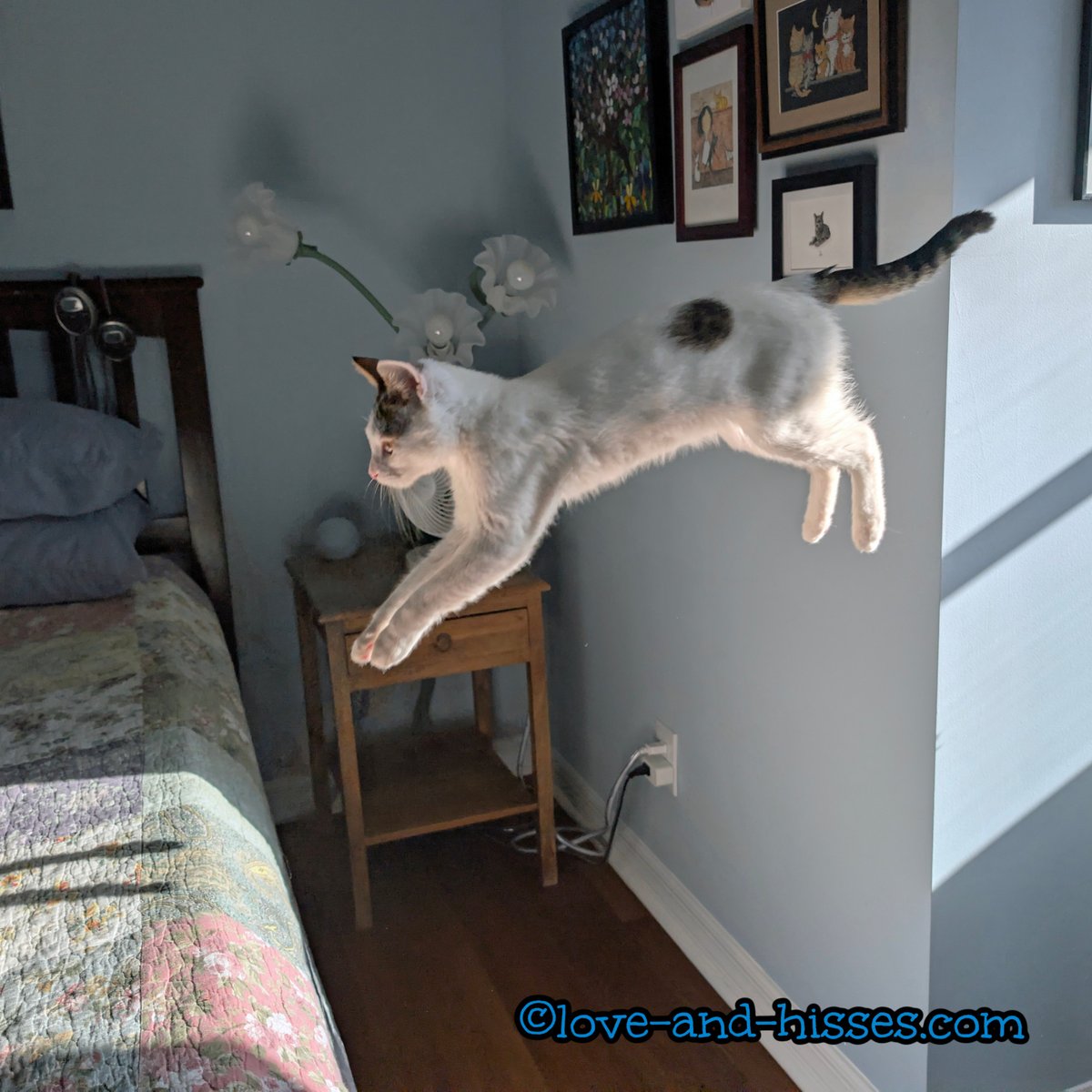 Robyn Anderson tweet media