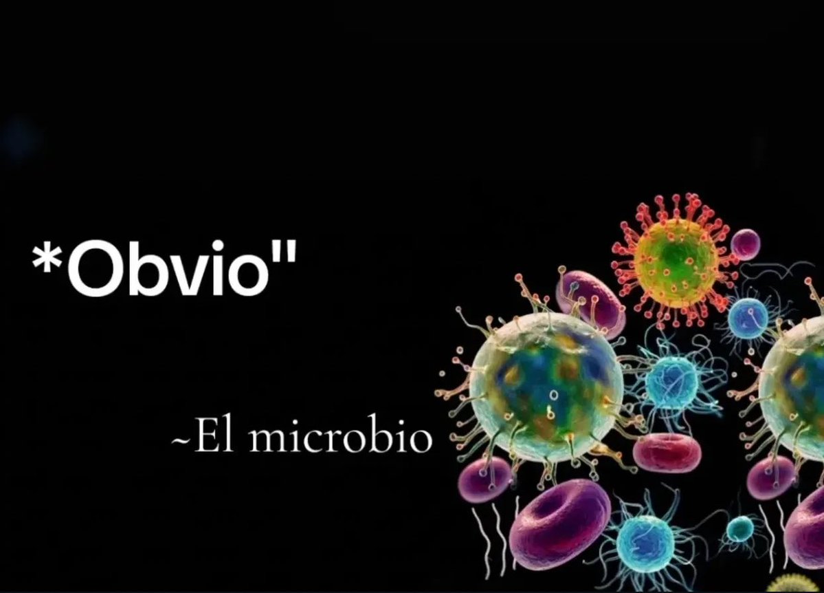 piña sin pizza tweet media