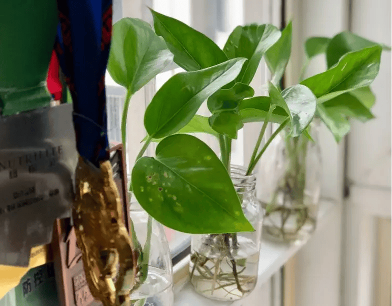 Юлия Тараканова tweet media