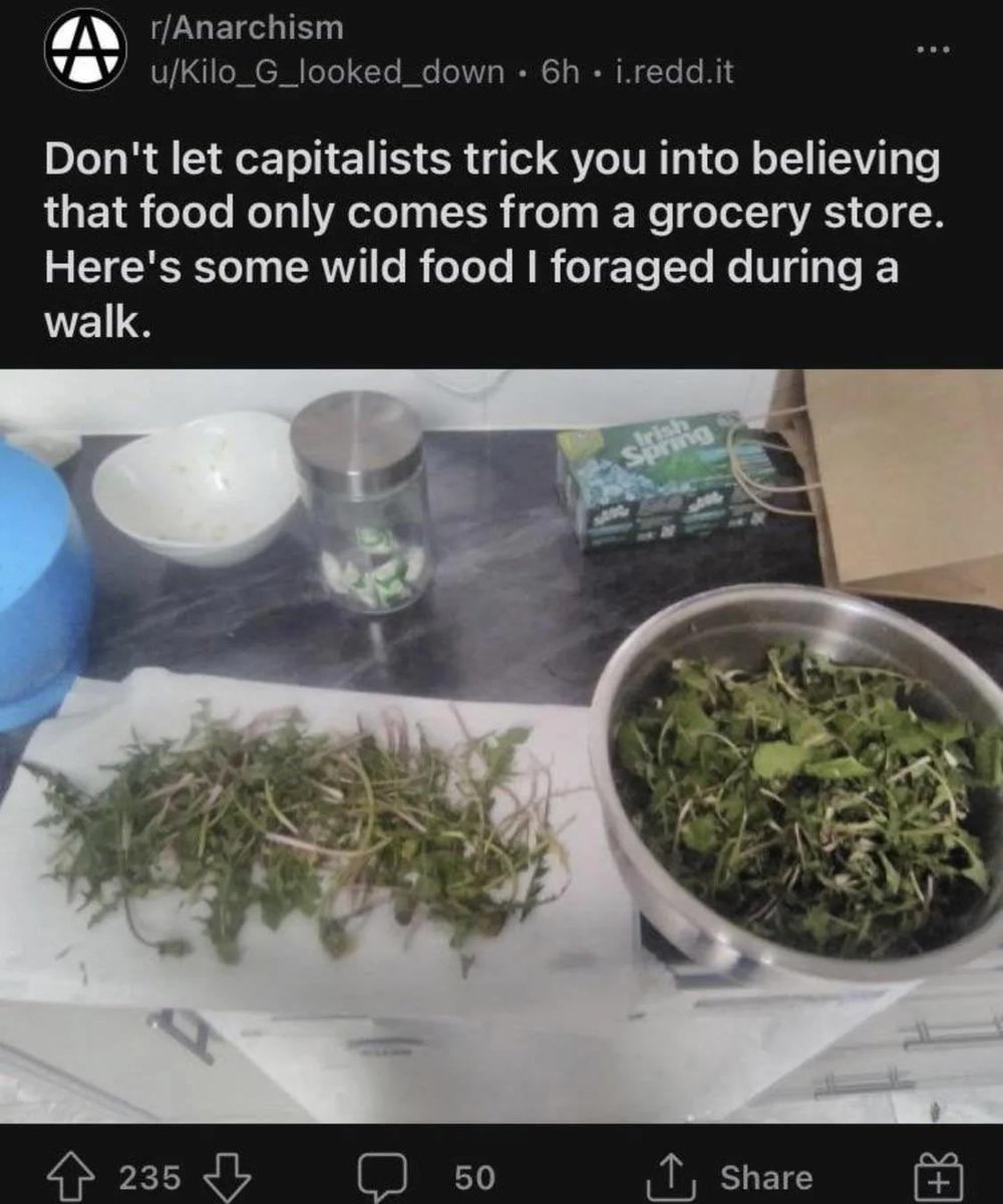 Reddit Lies tweet media