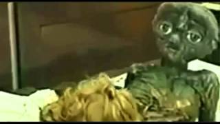 Rodrigo M tweet media