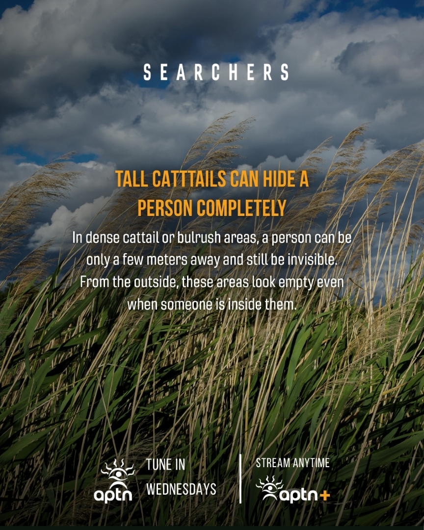 Angel Entertainment tweet media