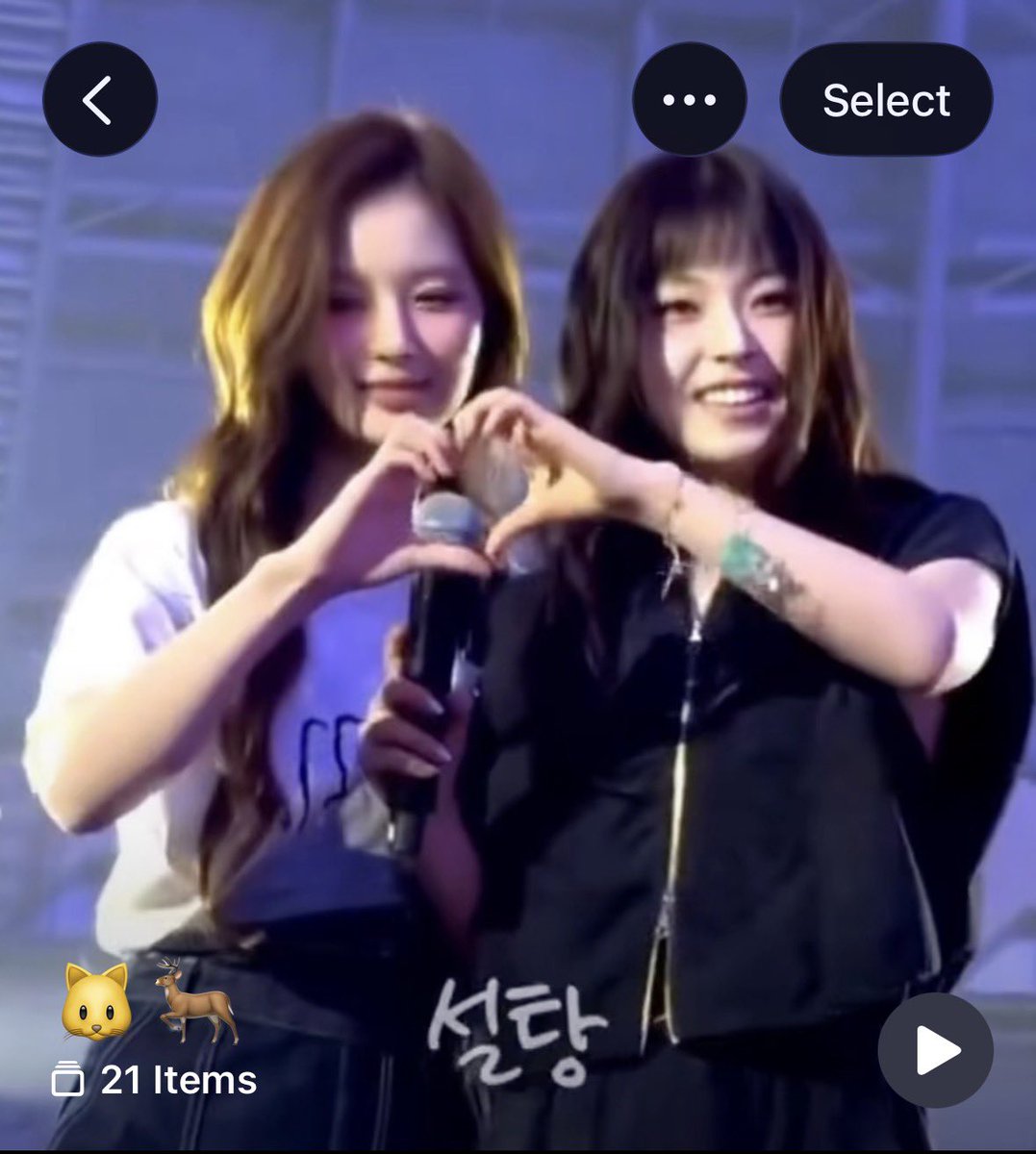 🐻‍❄️ tweet media