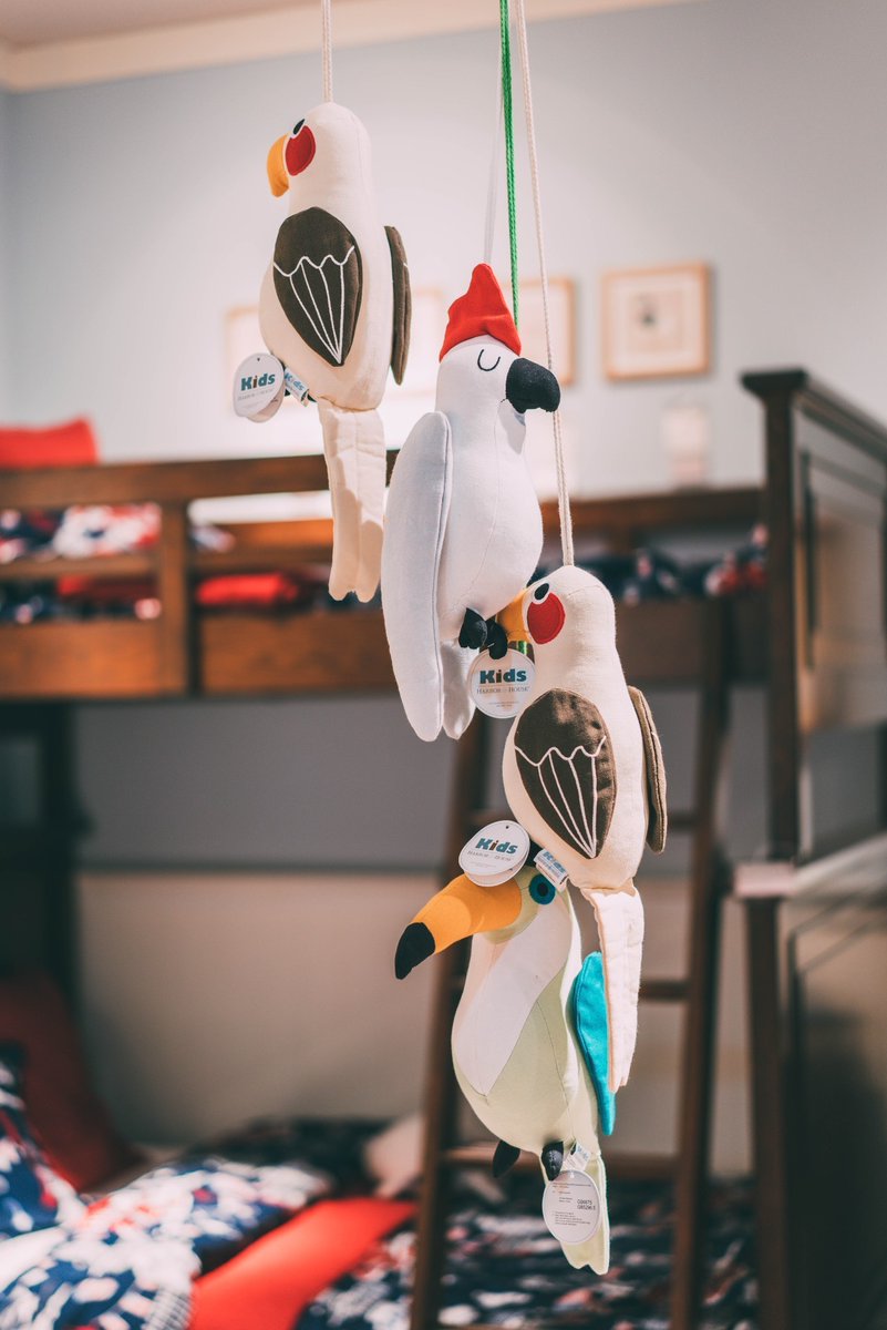 Claire Ann Read tweet media