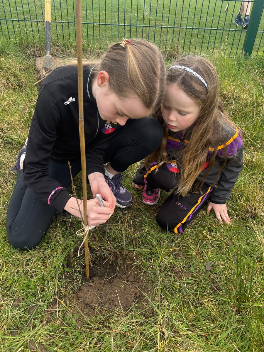 Carryduff GAC tweet media