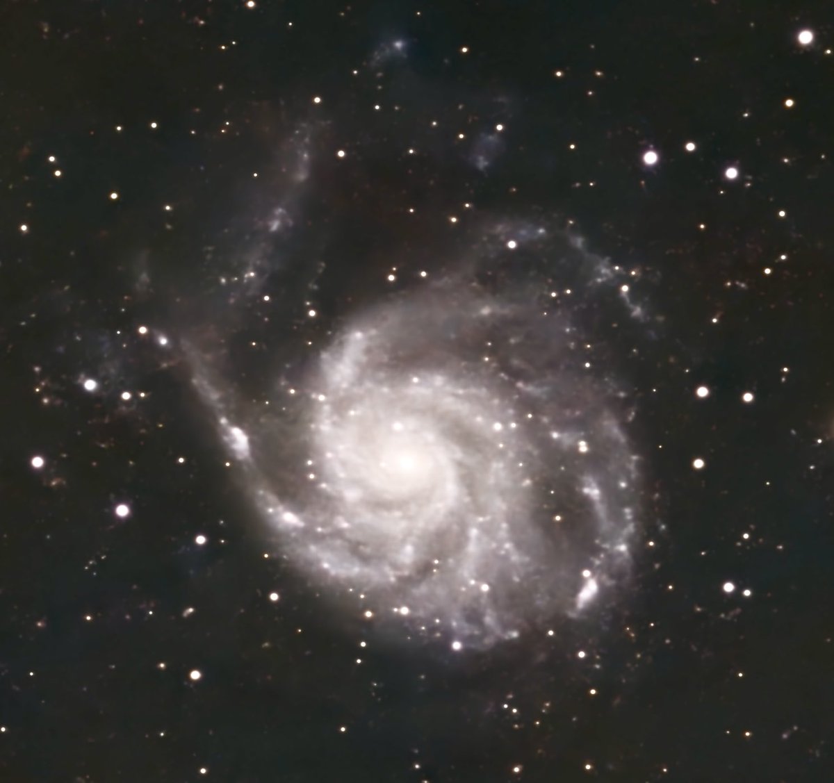 Francis X Govers III tweet media