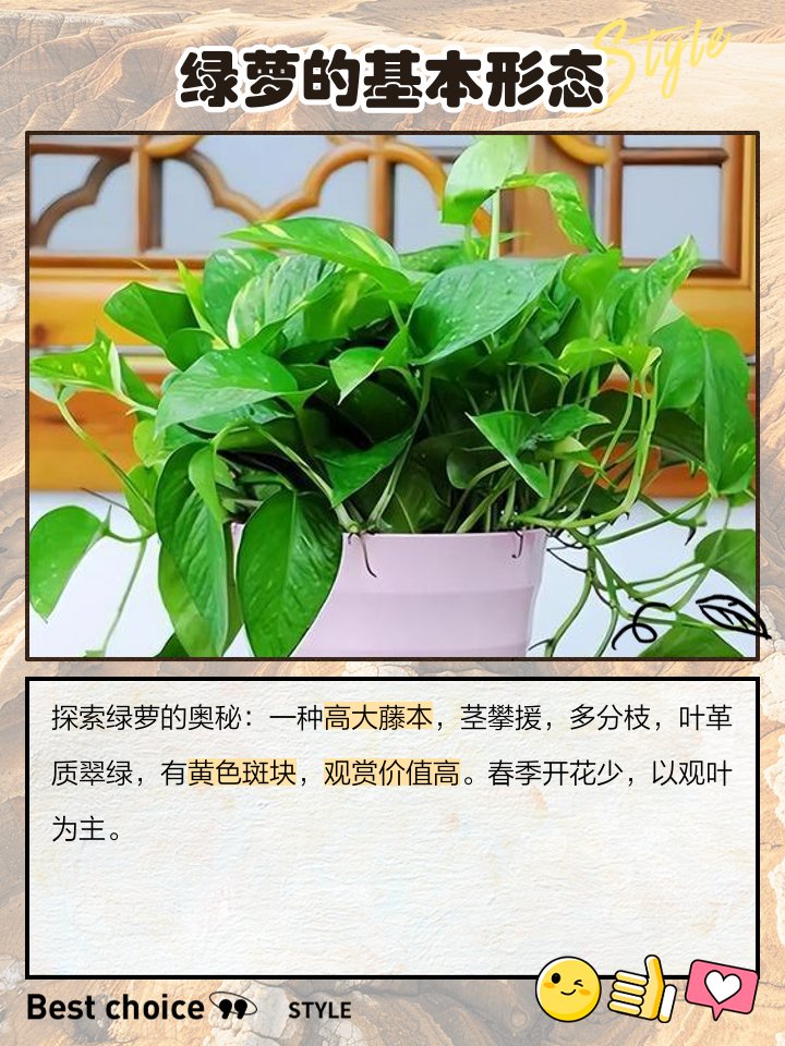 Rod Takai tweet media