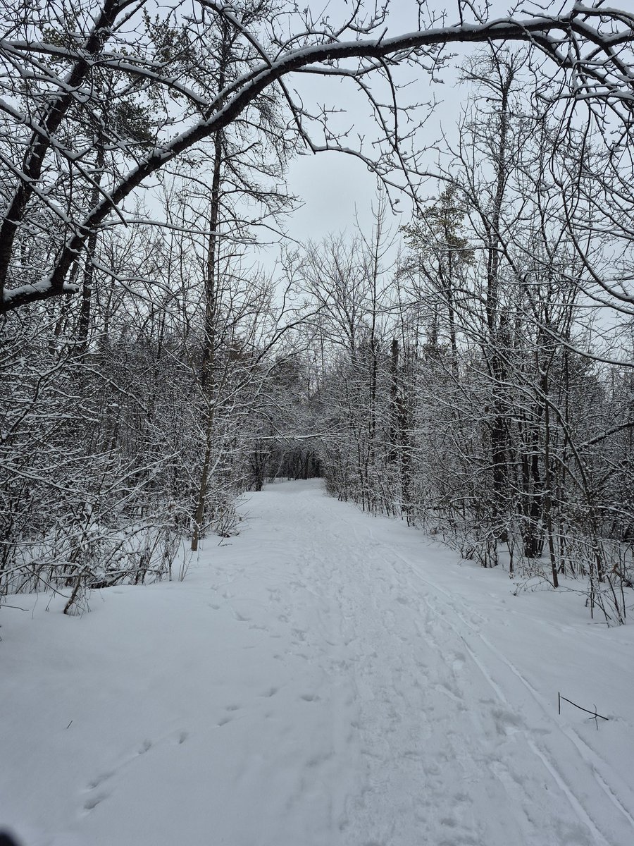 Karyn Curtis🇨🇦🐎 tweet media