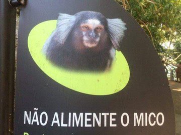 mαrcelo tweet media