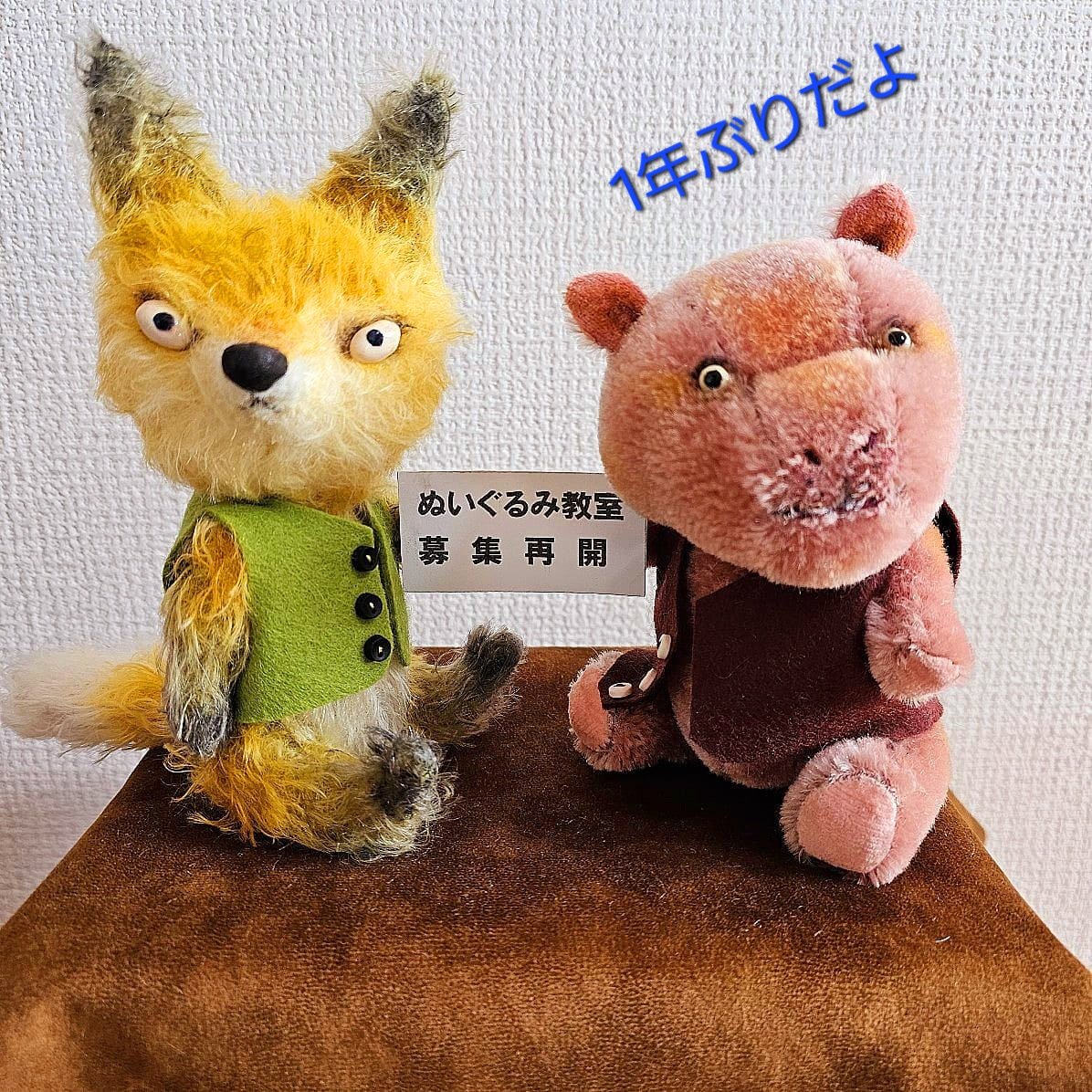 i-ppoたおか 人気作家 テディベア ハンドメンド ぬいぐるみ貴重な着ぐるみ猫 i-ppoたおか(イッポ) (@i_ppo_taoka) / Posts / X