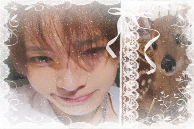 sedef⁷ ENHYPEN IS 7 tweet media