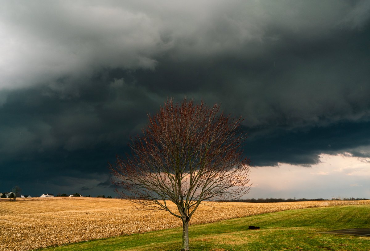 Sam Brandt tweet media