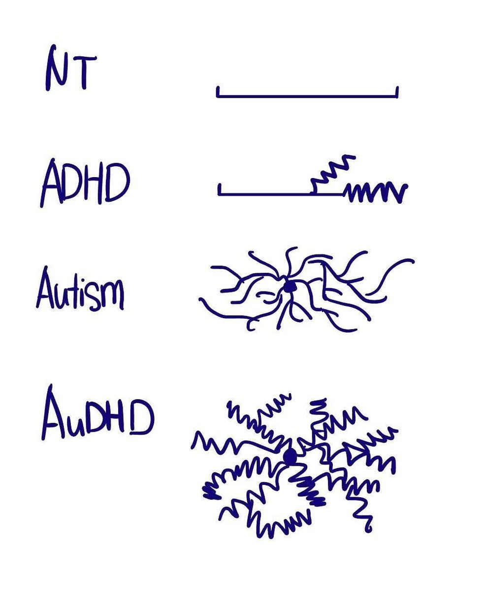 ADHD Memes tweet media