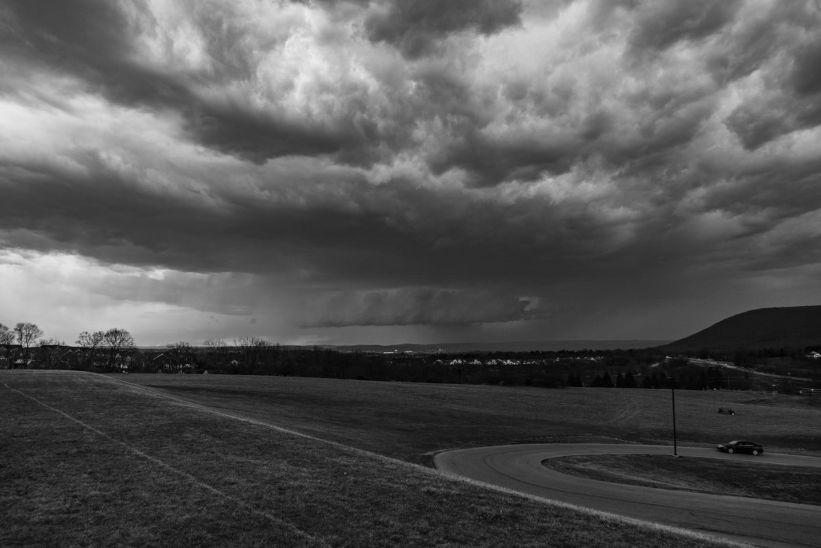 Sam Brandt tweet media