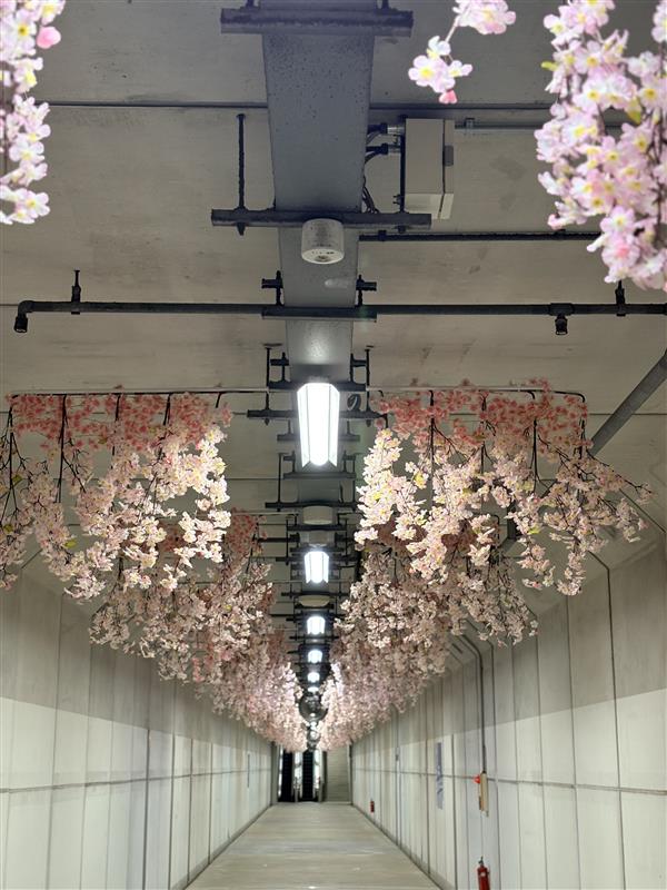 鈴鹿サーキット Suzuka Circuit tweet media