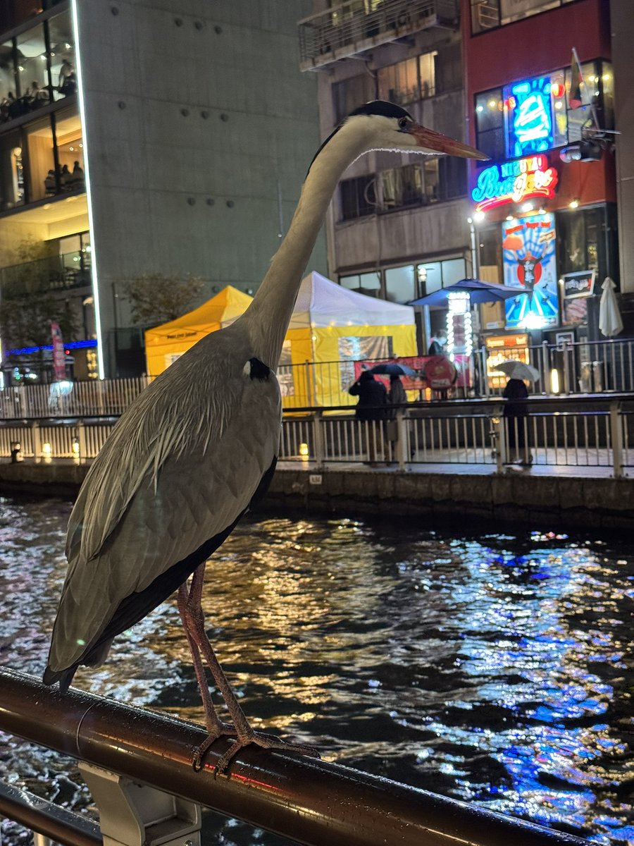 S.snafkine tweet media