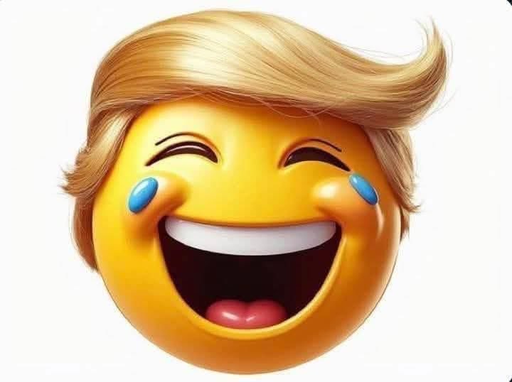 Sam Freedom tweet media